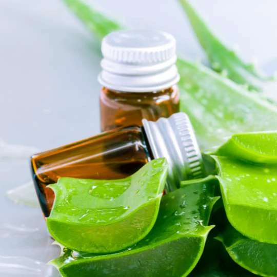 Sun Burn Massage Aloe Vera Bali